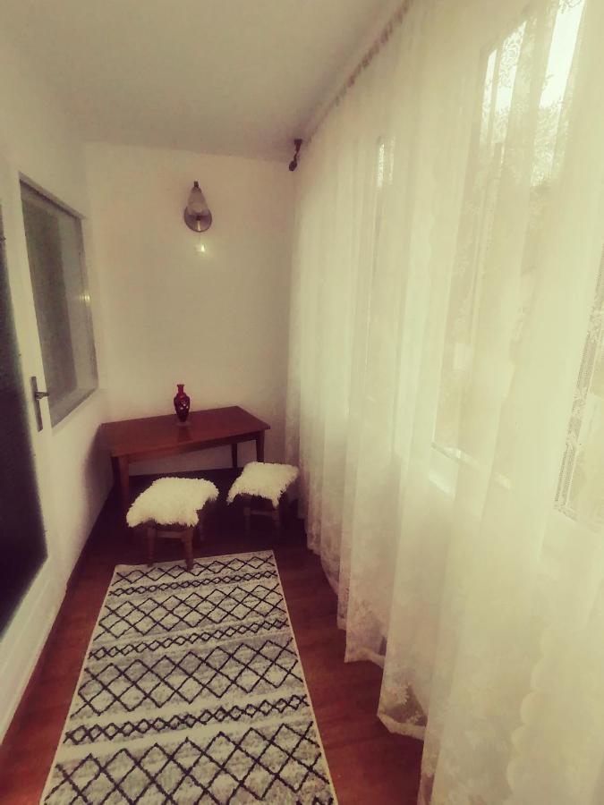 Vila Passiflora Dragoslavele Dış mekan fotoğraf