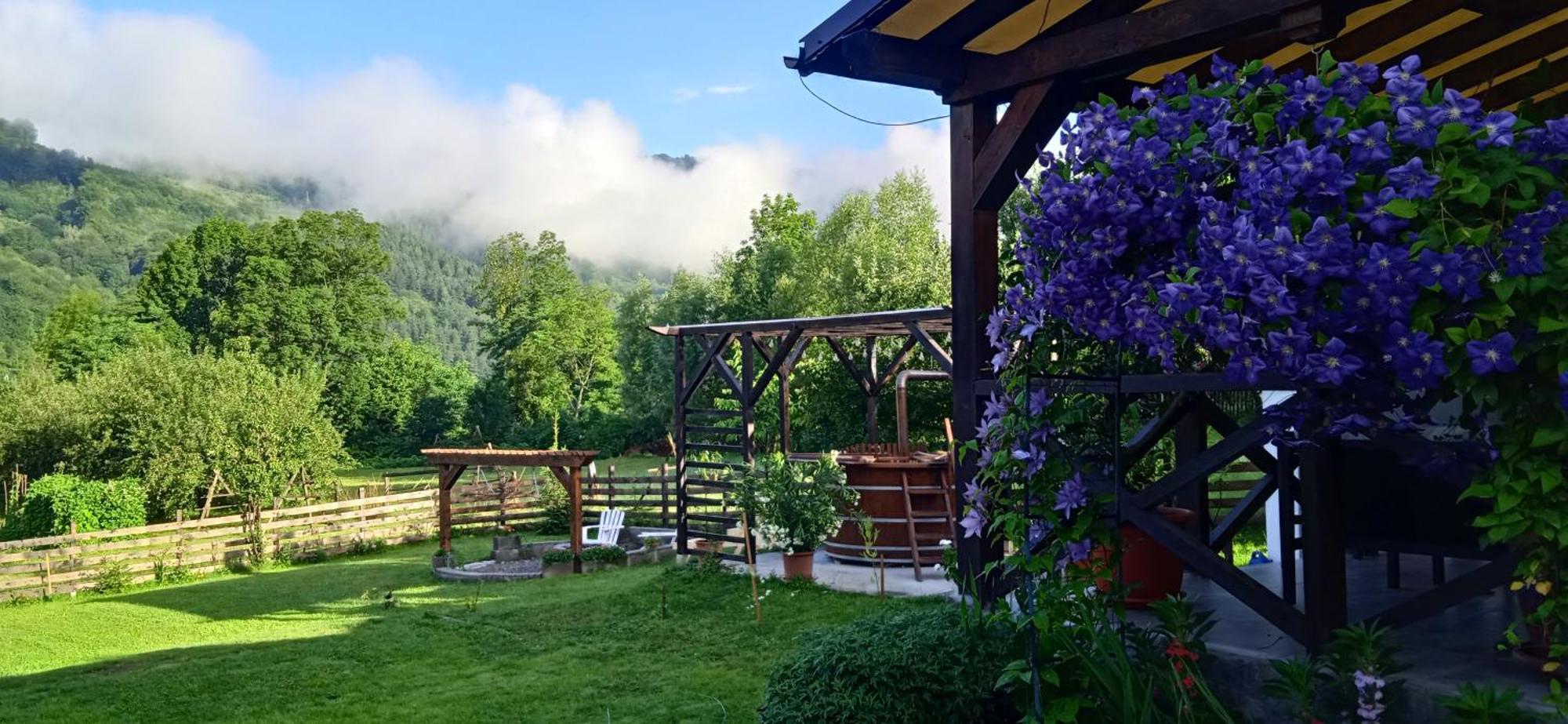 Vila Passiflora Dragoslavele Dış mekan fotoğraf